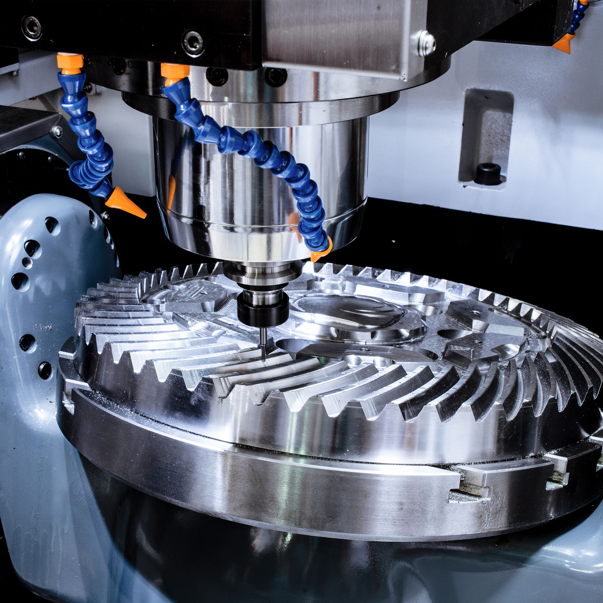 교육과정 이미지