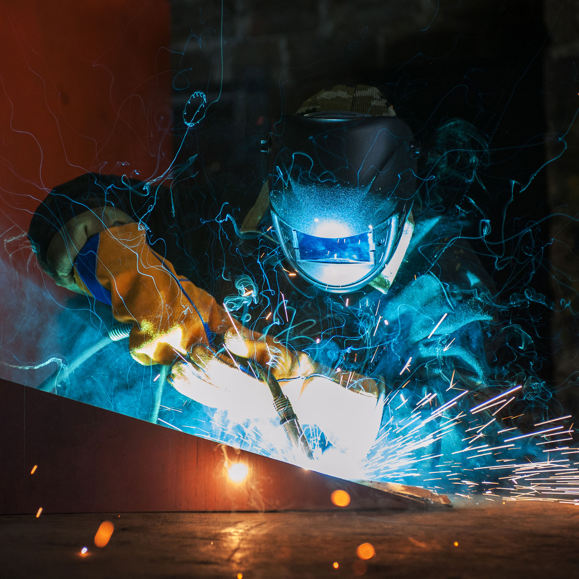 교육과정 이미지