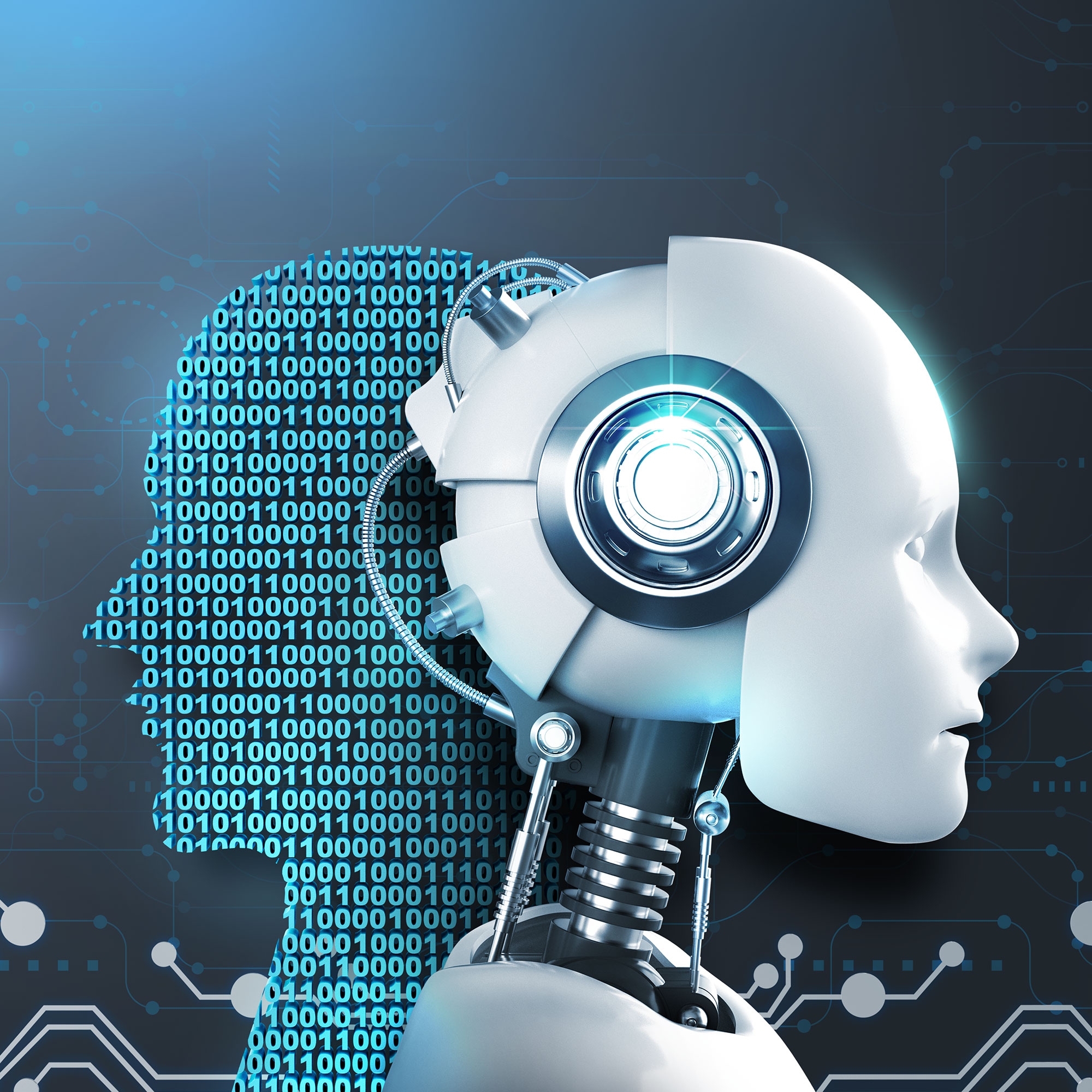 교육 과정 이미지