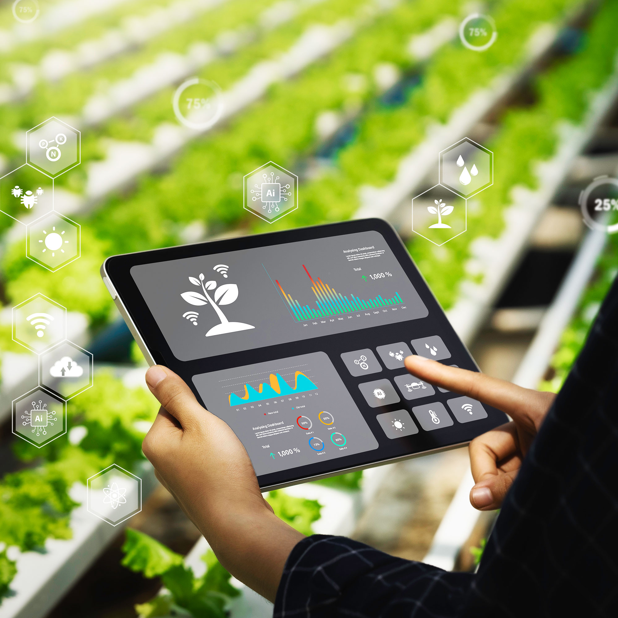 교육 과정 이미지